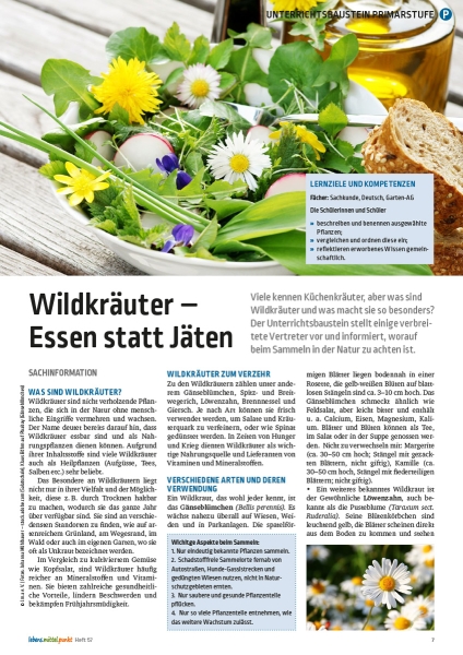 Wildkräuter