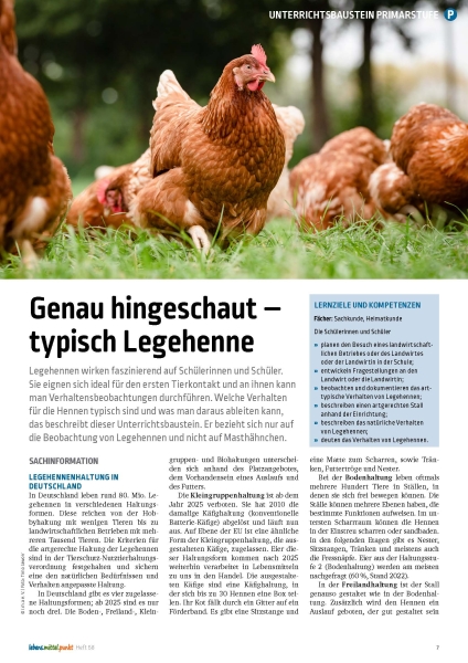 Typisch Legehenne